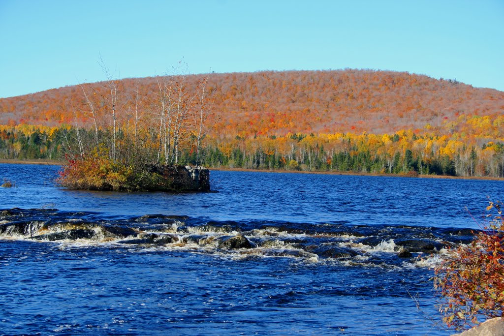 ACTIVITÉ ORGANISÉE PAR LE COMITÉ DE PROTECTION DU LAC ET DE LA RIVIÈRE
