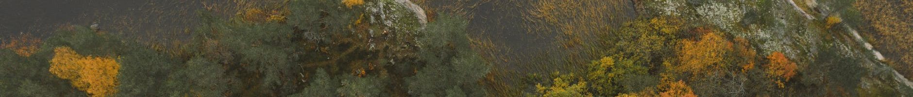 La protection de nos plans d&rsquo;eau, ça se cultive – Samedi 18 juin